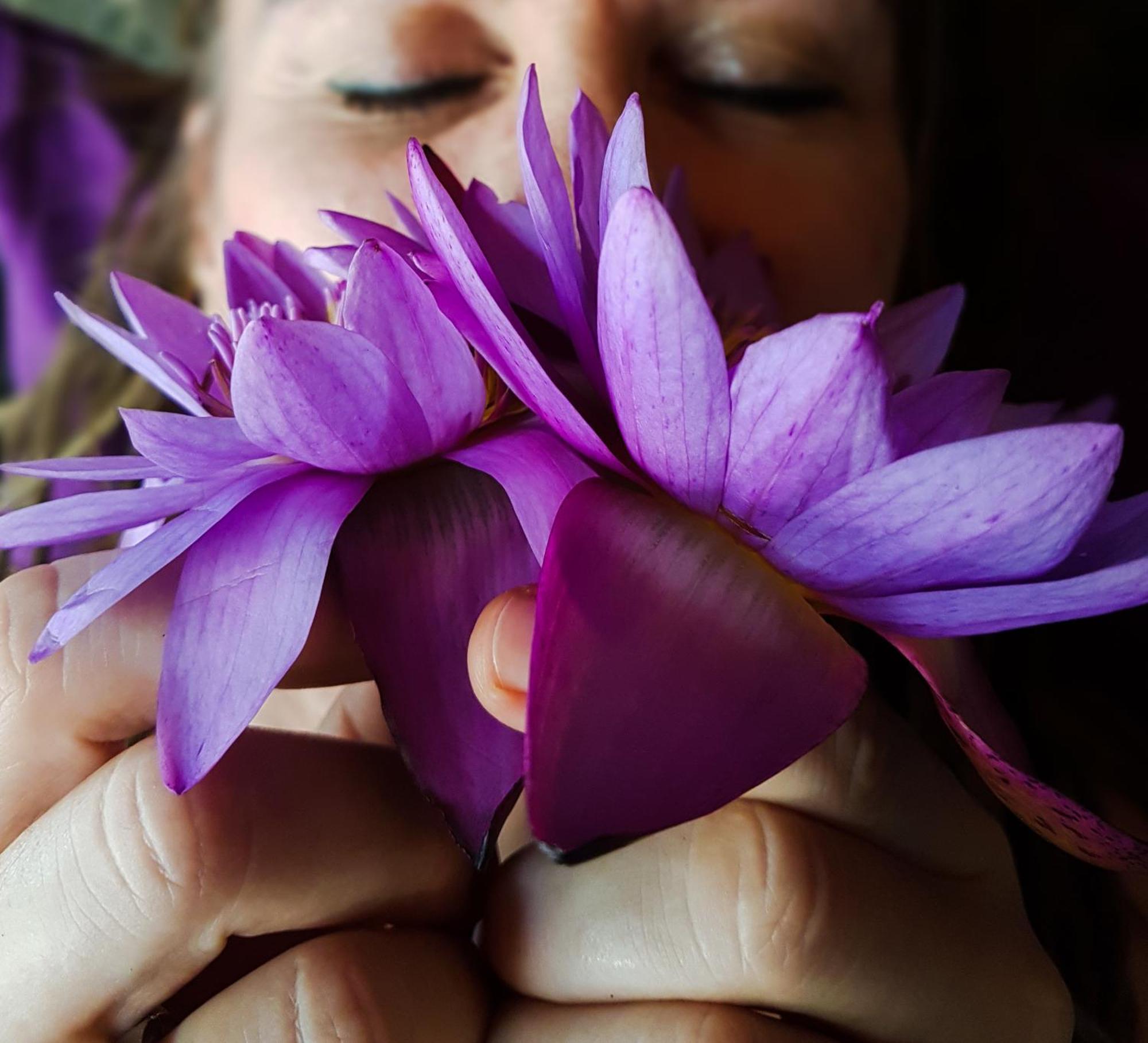 Singharaja Garden Agro Eco Lodge Pelawatta  외부 사진