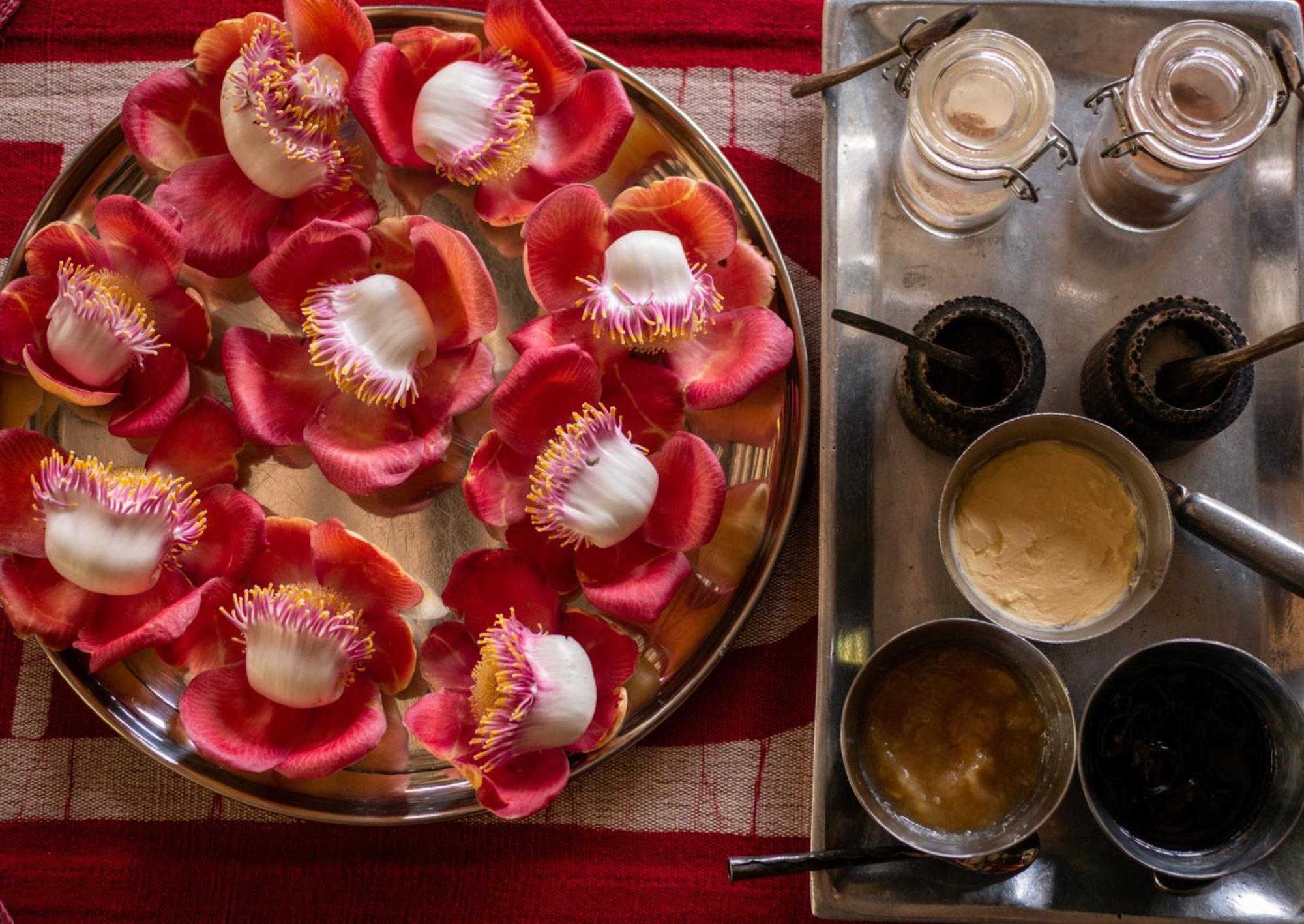 Singharaja Garden Agro Eco Lodge Pelawatta  외부 사진