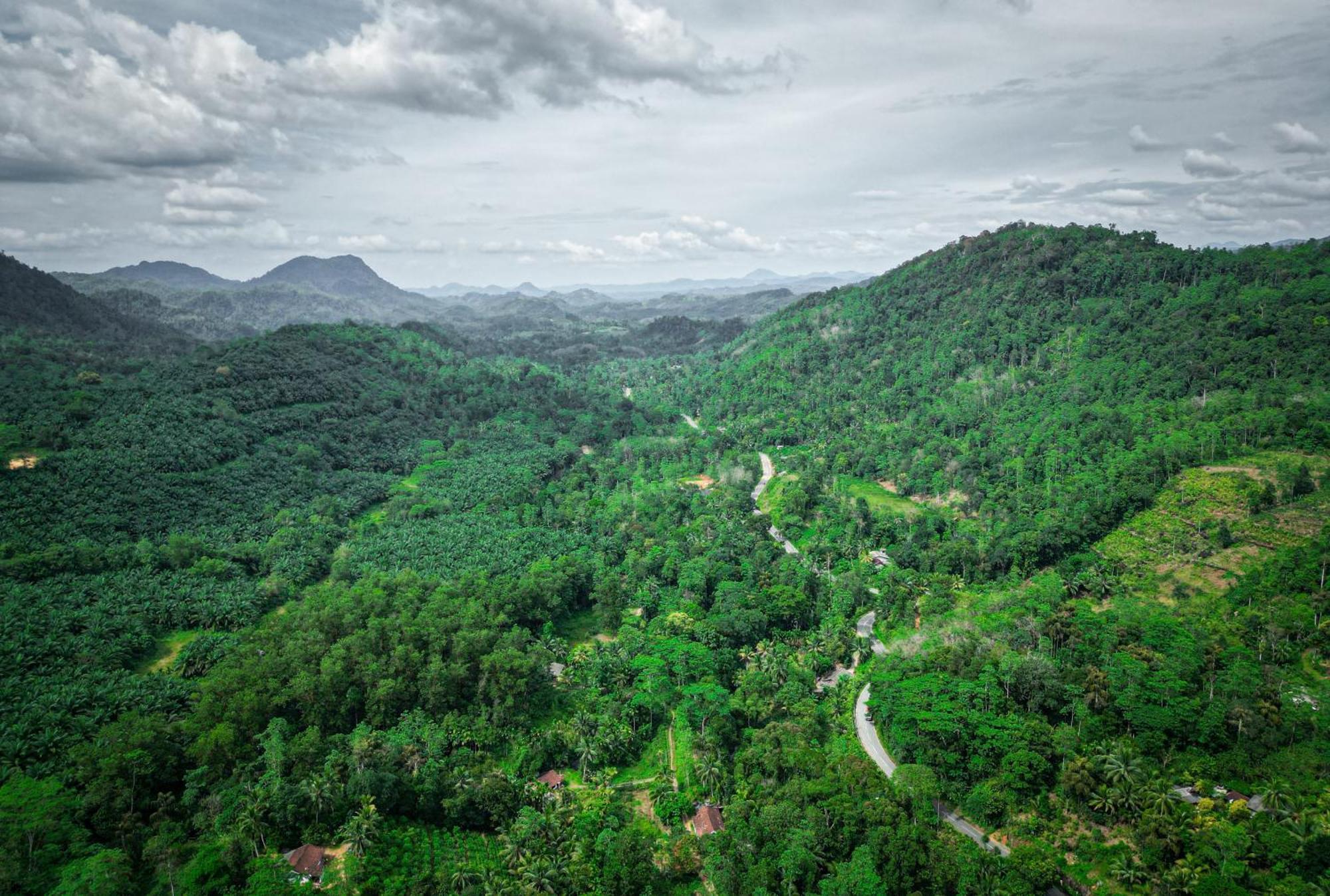 Singharaja Garden Agro Eco Lodge Pelawatta  외부 사진