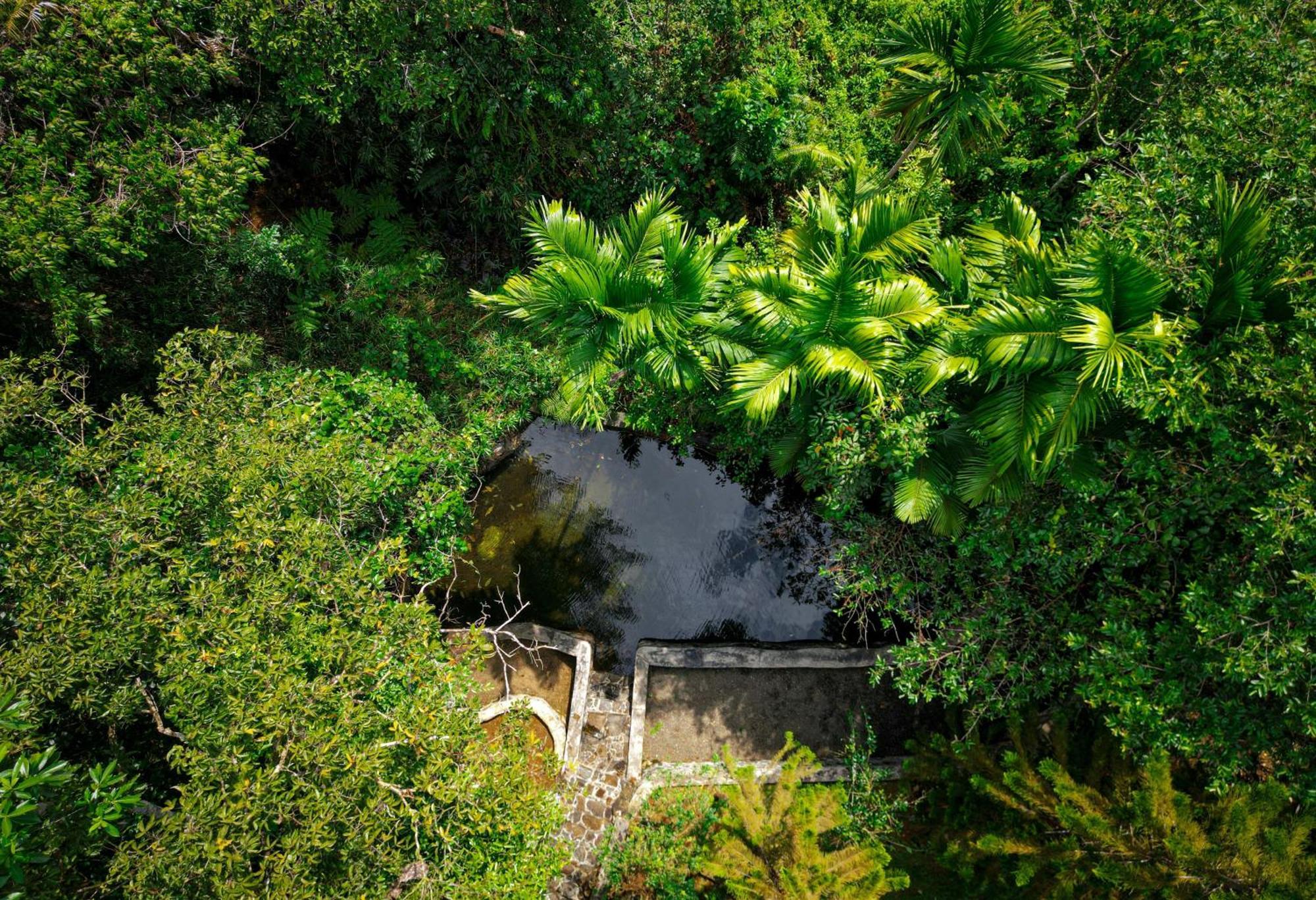 Singharaja Garden Agro Eco Lodge Pelawatta  외부 사진