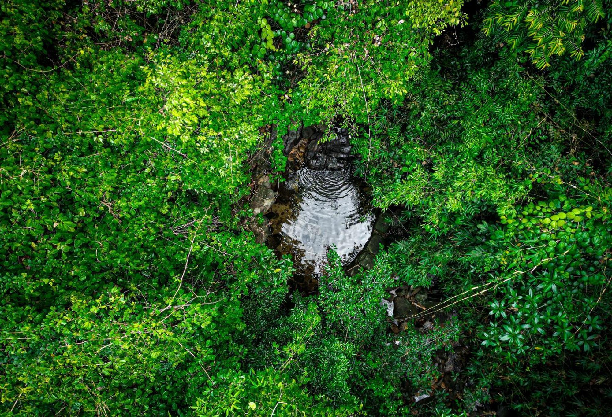 Singharaja Garden Agro Eco Lodge Pelawatta  외부 사진