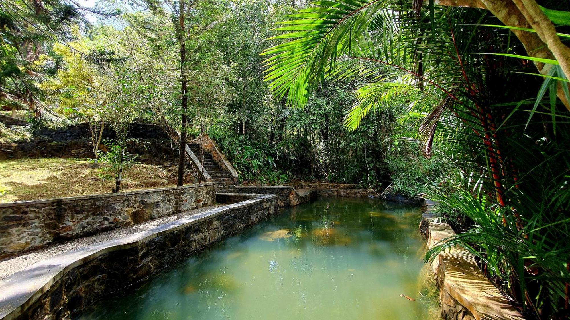 Singharaja Garden Agro Eco Lodge Pelawatta  객실 사진