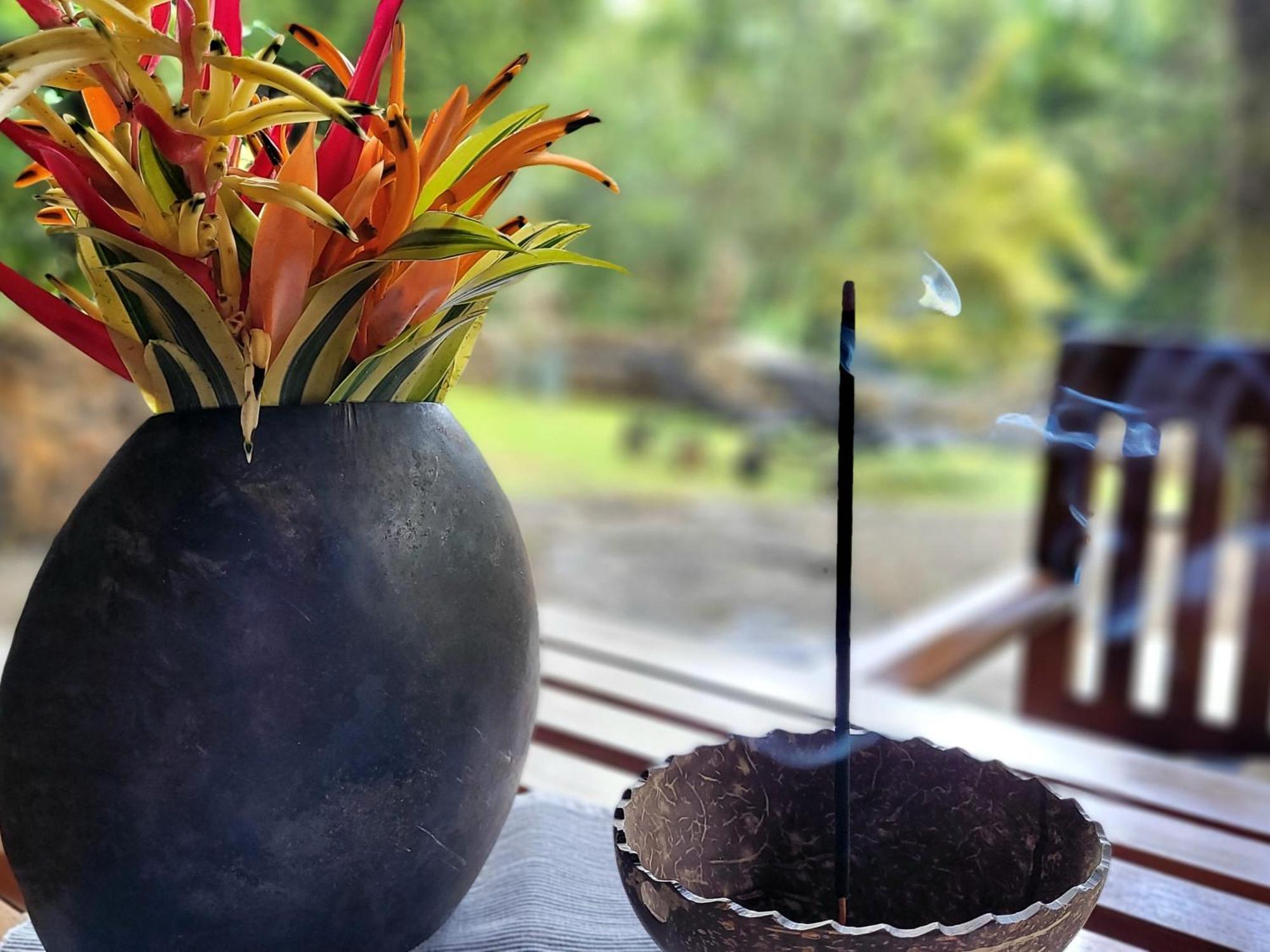 Singharaja Garden Agro Eco Lodge Pelawatta  객실 사진