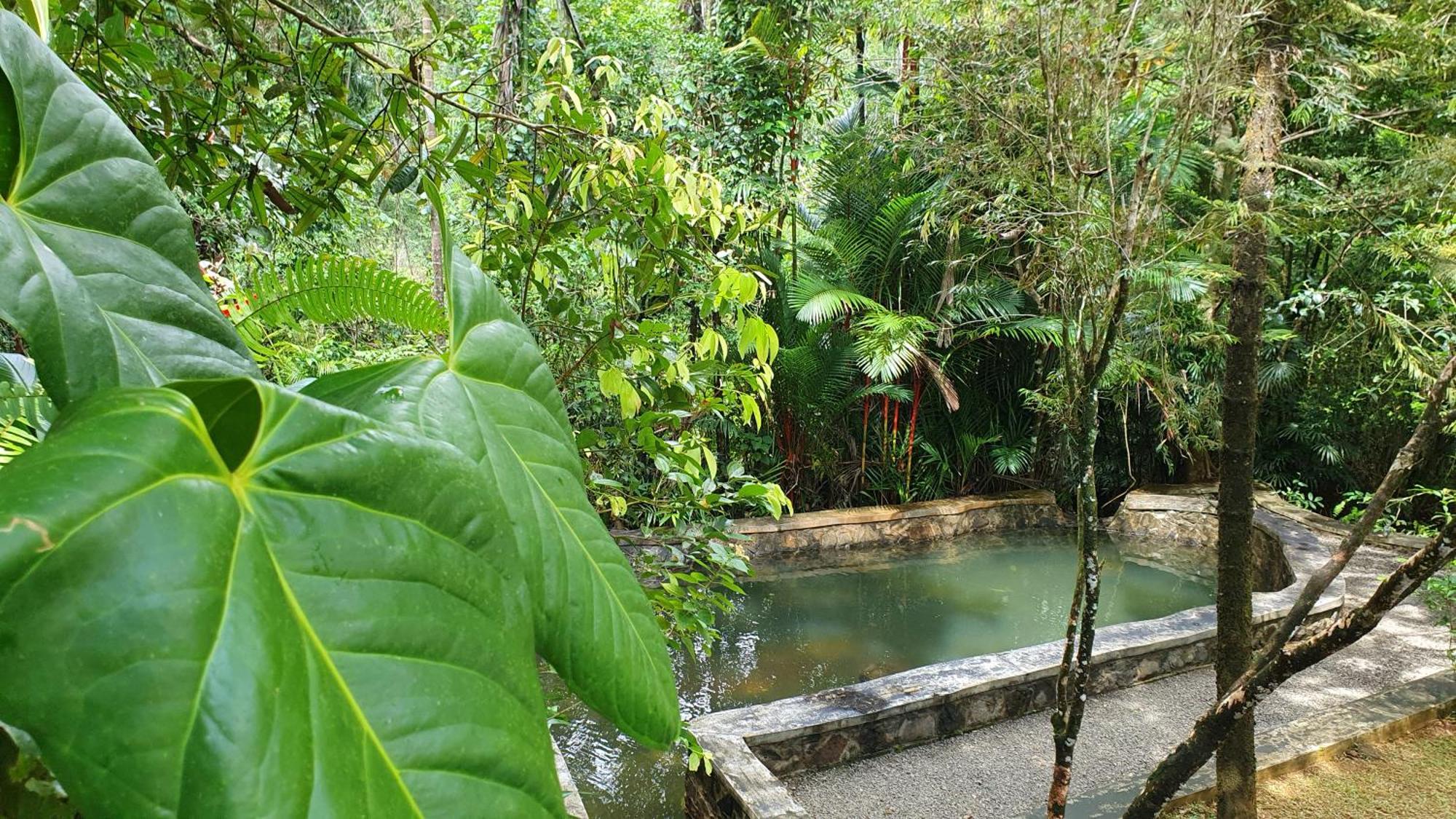 Singharaja Garden Agro Eco Lodge Pelawatta  객실 사진